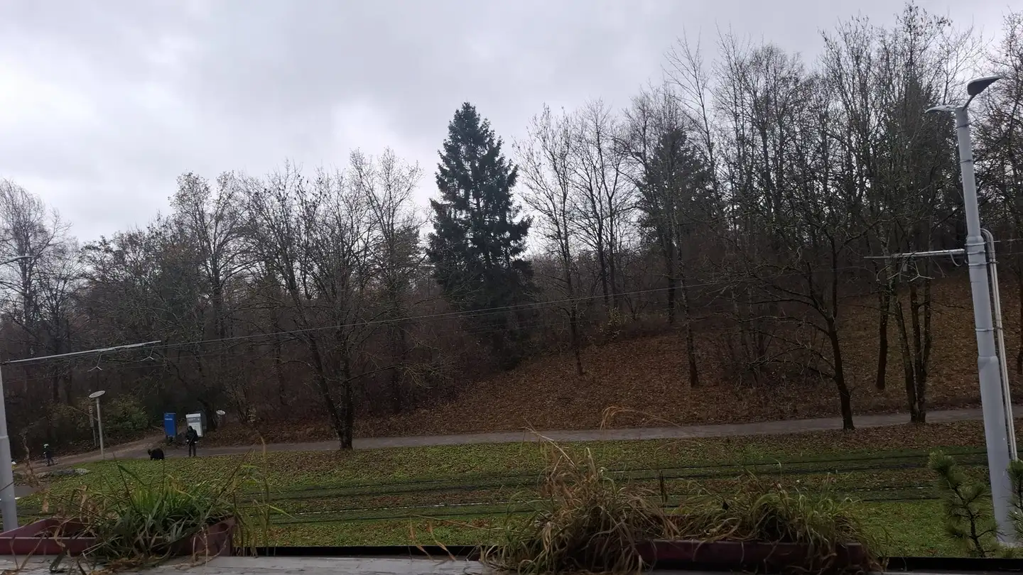 Stanza singola in affitto - Irchelstrasse 34, 8057 Zürich - Foto 4