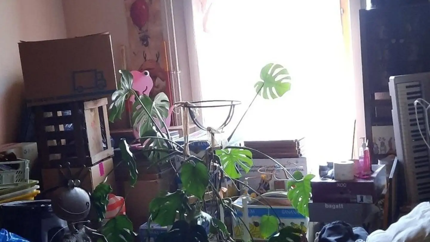 Appartamento in affitto - 1315 La Sarraz - Foto 4