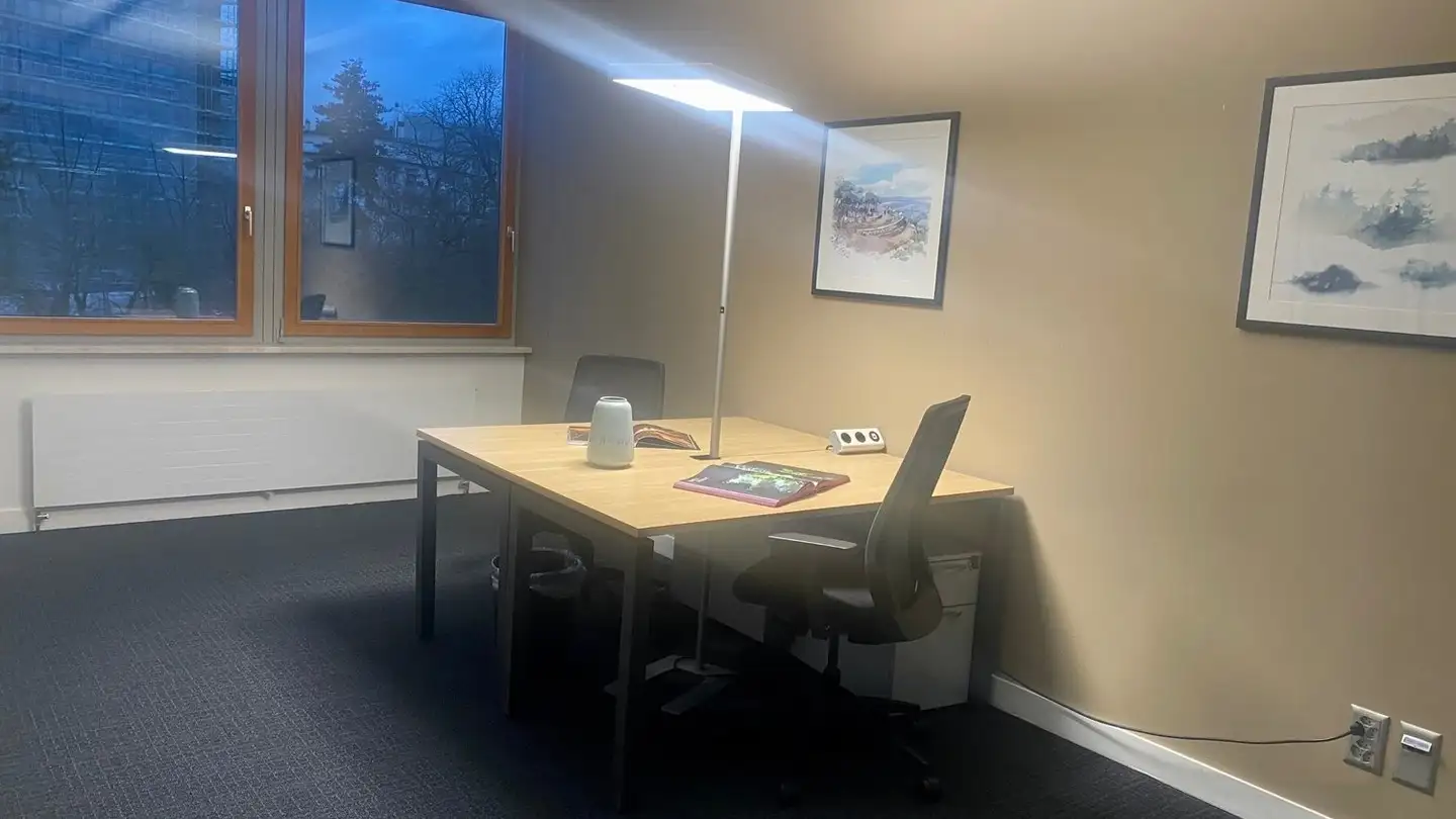 Office space for rent - 4051 Basel - Photo 3