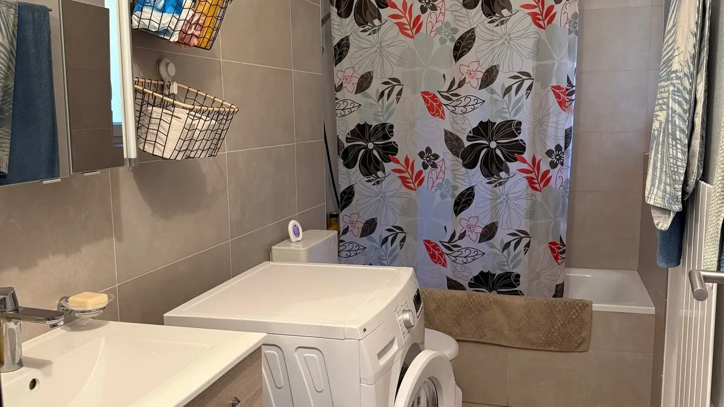 Appartamento in affitto - Via Motto Arbino 16, 6517 Arbedo - Foto 4