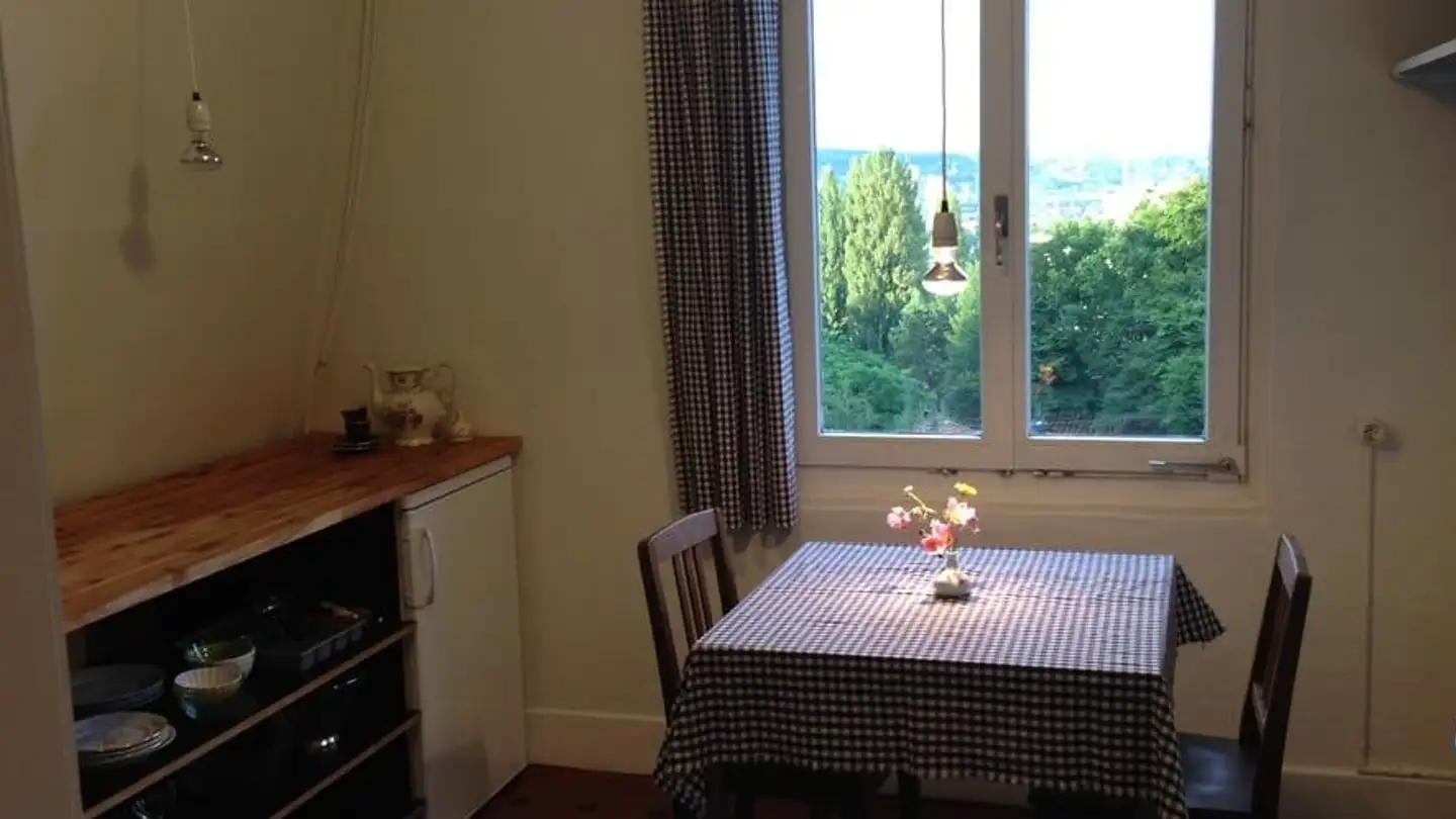 Attique à louer - Triemlihalde 7, 8055 Zürich - Photo 4