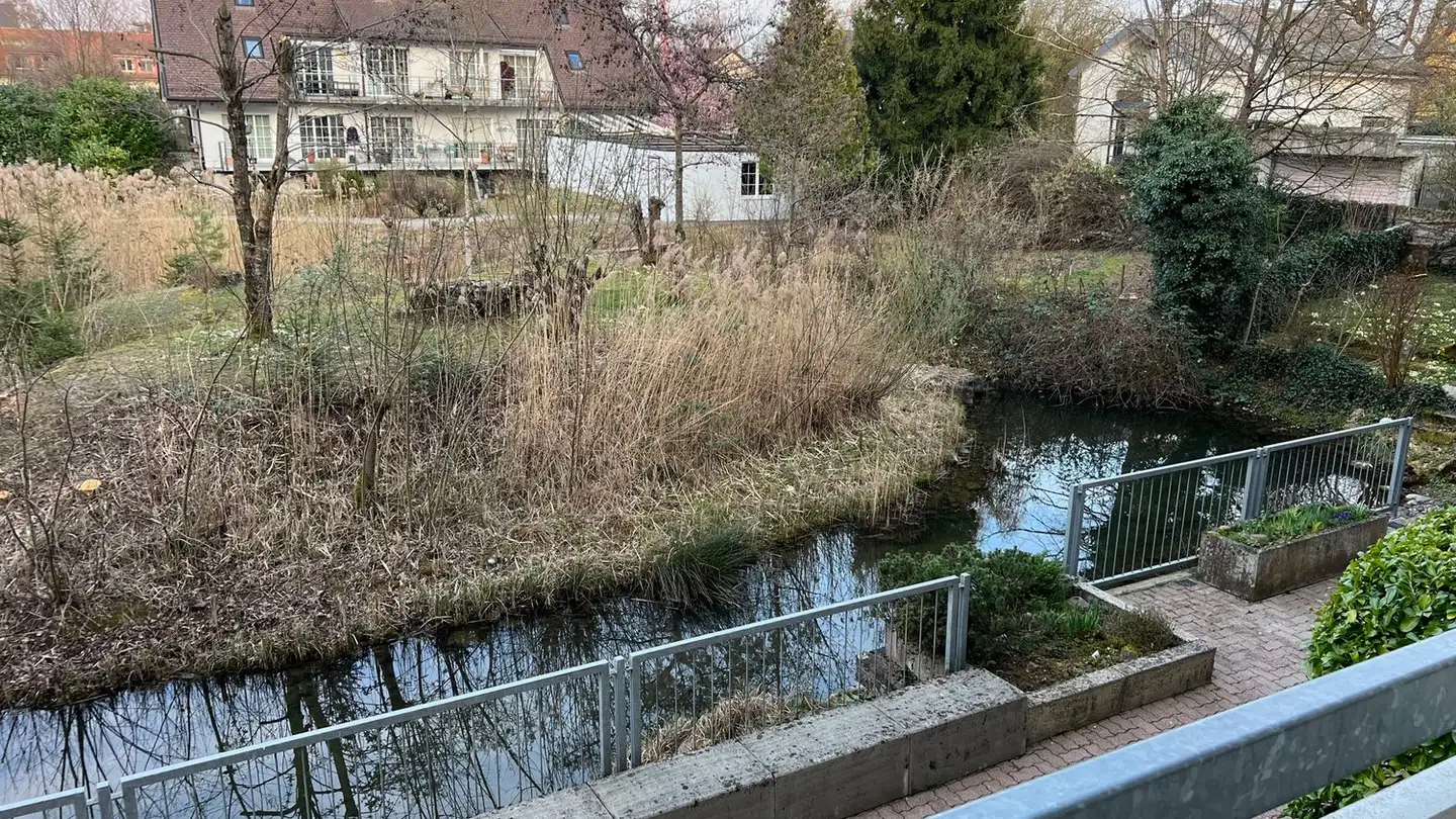 Appartamento in vendita - Rotbuchstrasse, 8600 Dübendorf - Foto 3