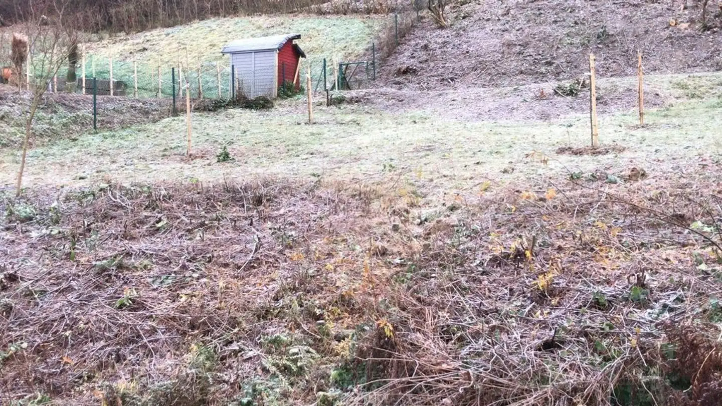 Terreno edificabile in vendita - Haurihäuserweg 4, 4800 Zofingen