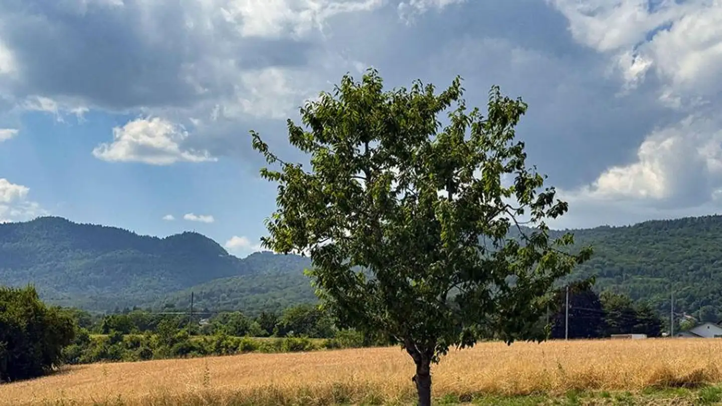 Villa for sale - 1272 Genolier