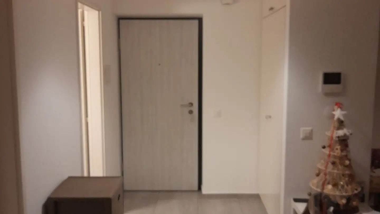 Appartamento in affitto - Via Dei Canova 3, 6830 Chiasso - Photo 4