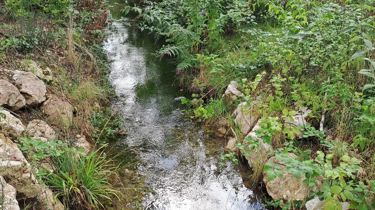 Apartment for sale - Waldstrasse, 3427 Utzenstorf