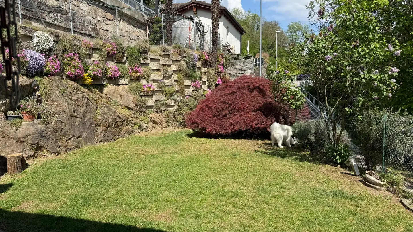 Einfamilienhaus kaufen - 6982 Agno - Foto 4