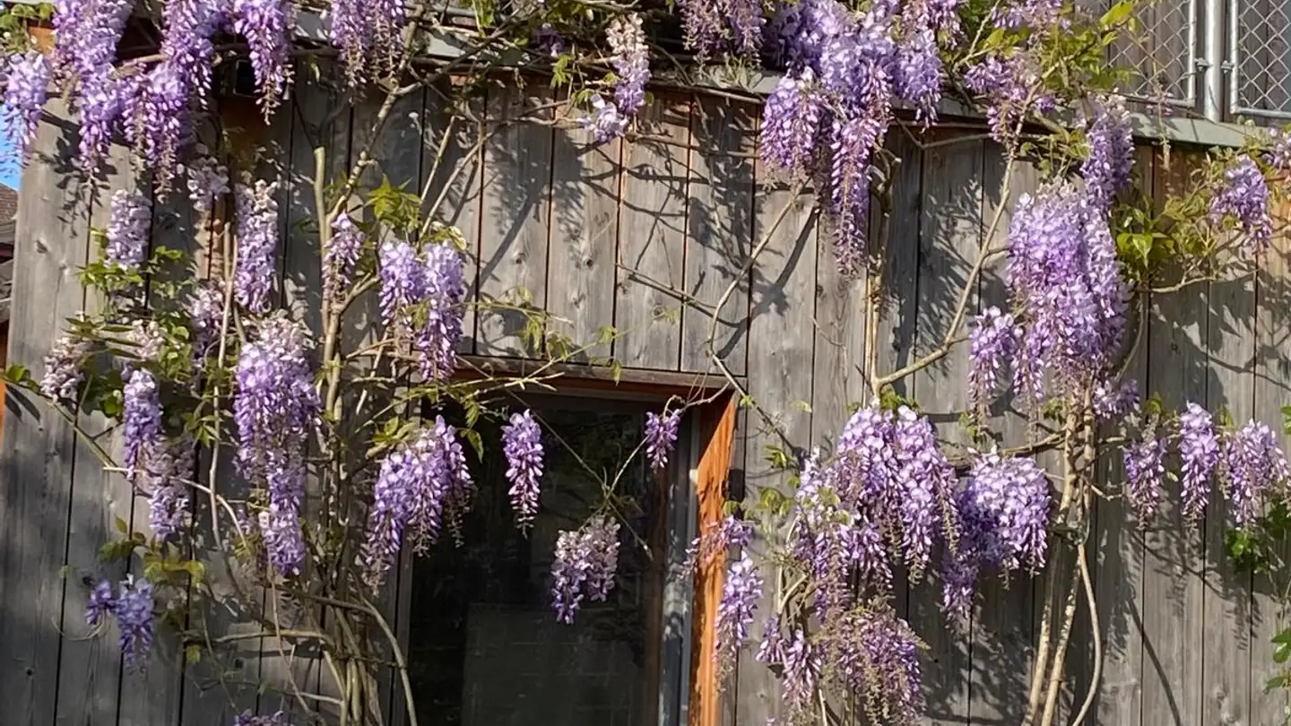 Gewerbe mieten - Kirchgasse 47, 8706 Meilen - Foto 3