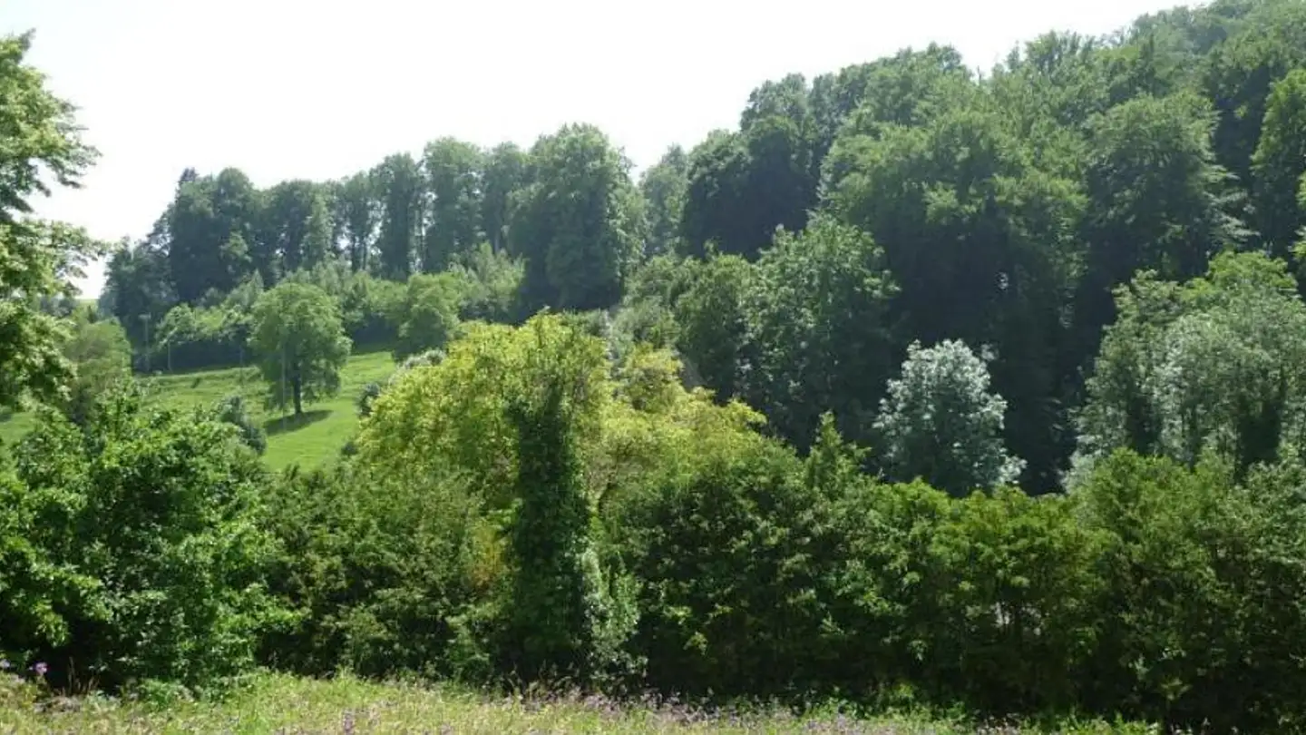 Appartamento in vendita - 1323 Romainmôtier - Foto 2