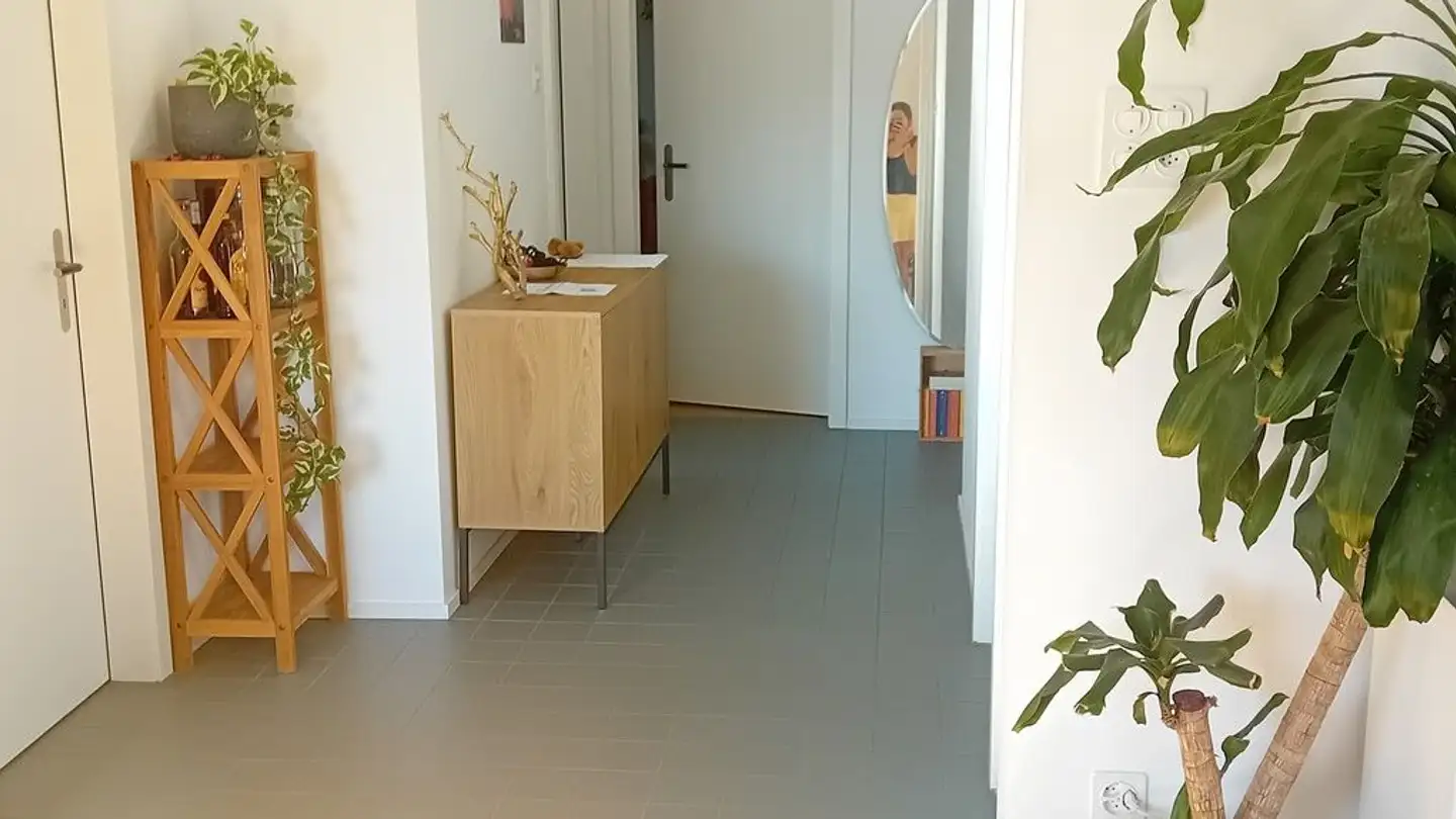 Single room for rent - Lindstrasse 41, 8400 Winterthur - Photo 2