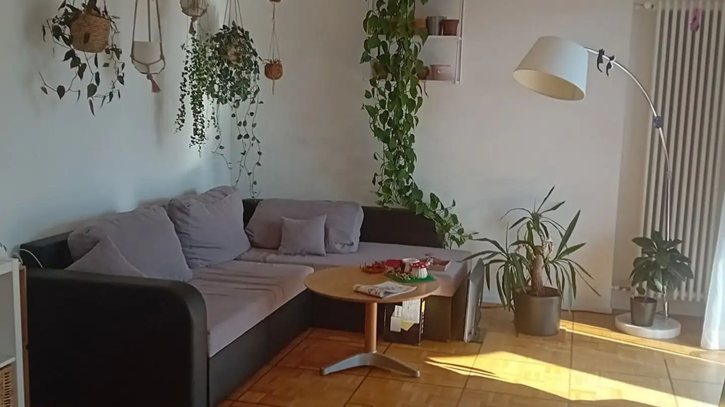 Single room for rent - Lindstrasse 41, 8400 Winterthur