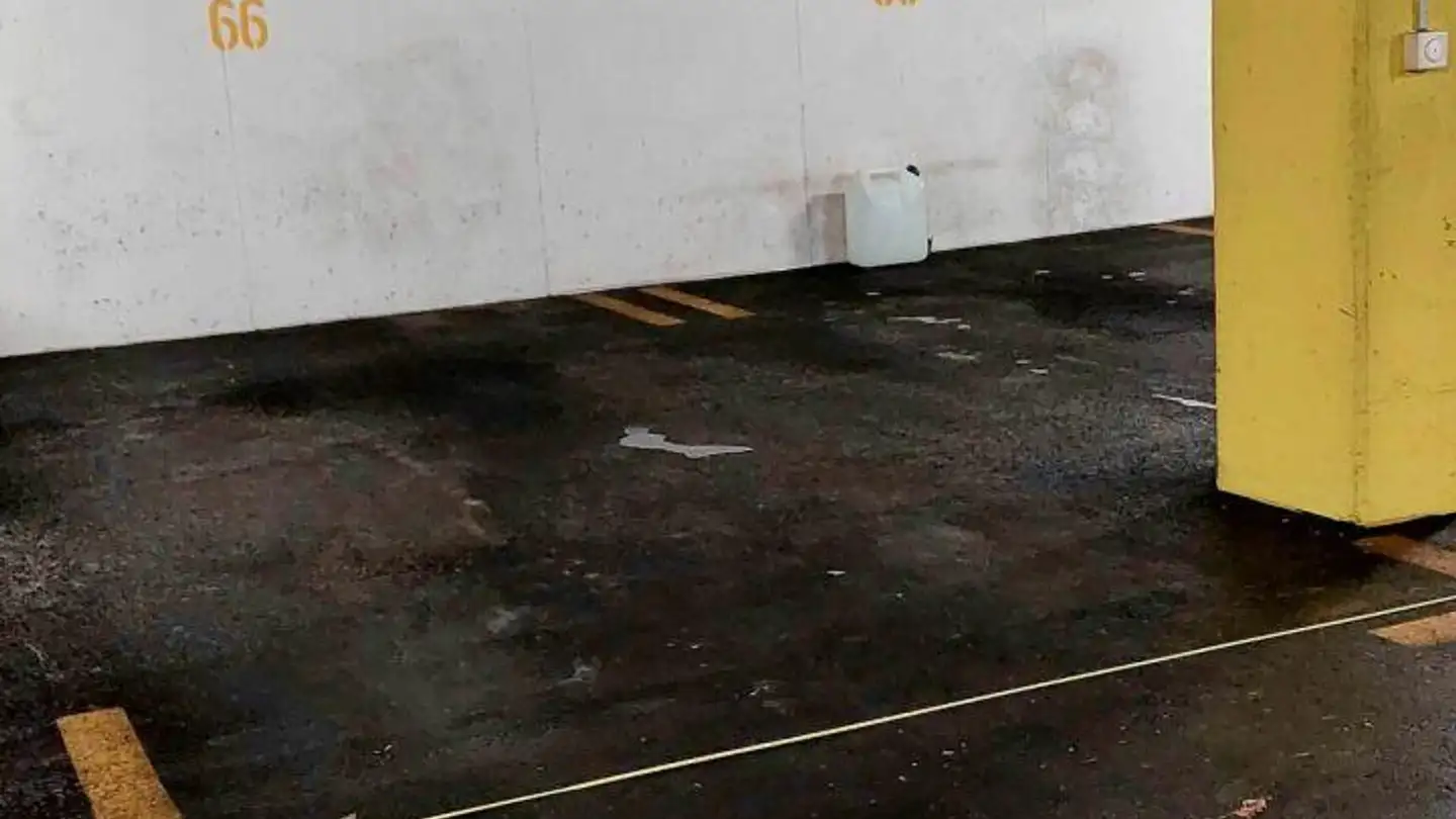 Single garage for rent - Heinrich-Bosshard-Strasse 9, 8405 Winterthur