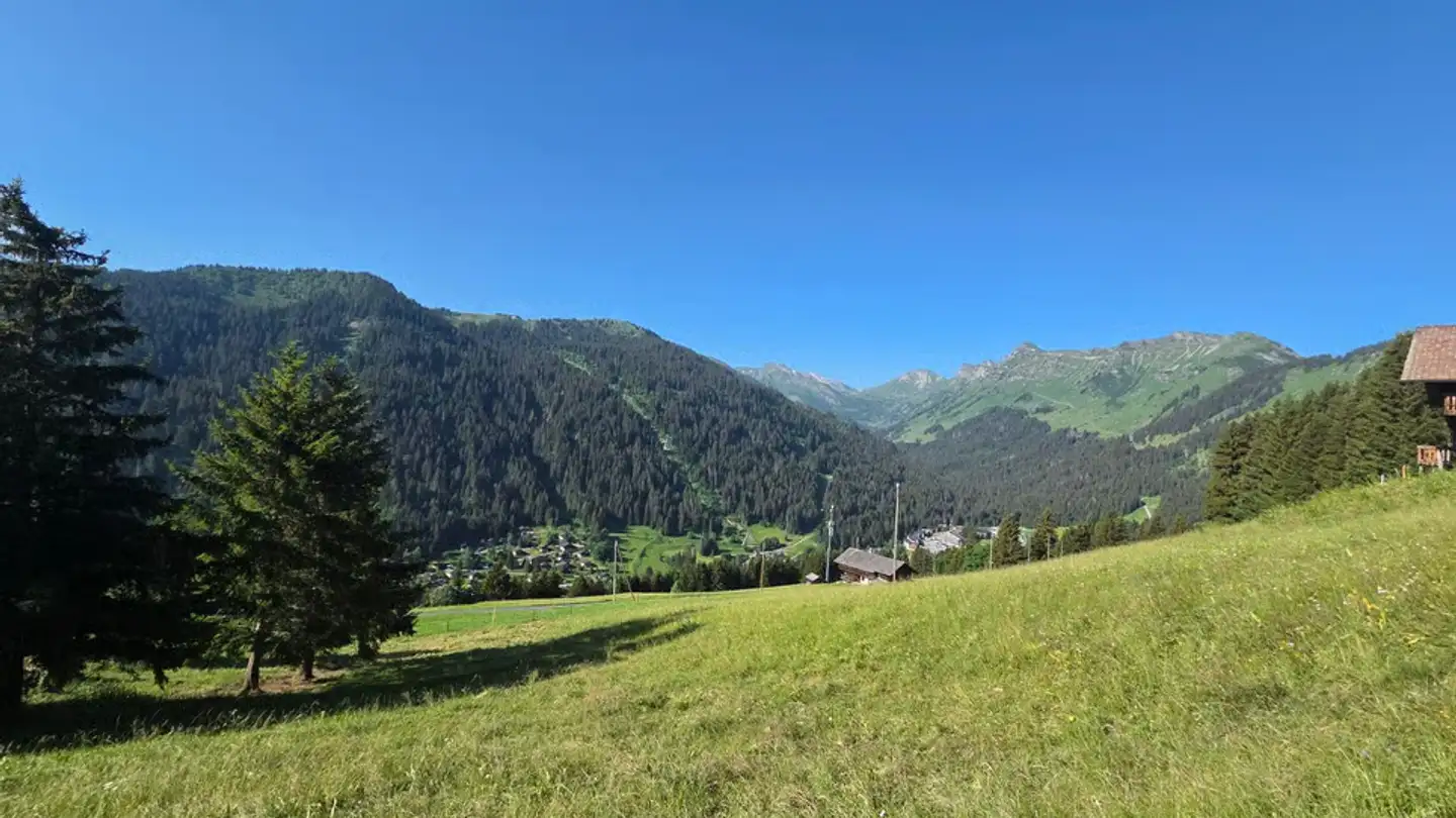 Einfamilienhaus kaufen - 1875 Morgins - Foto 2