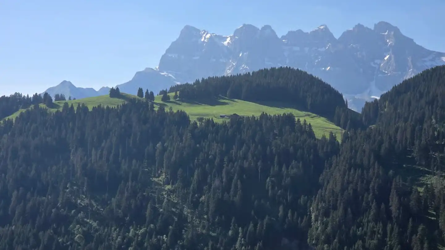 Einfamilienhaus kaufen - 1875 Morgins - Foto 3