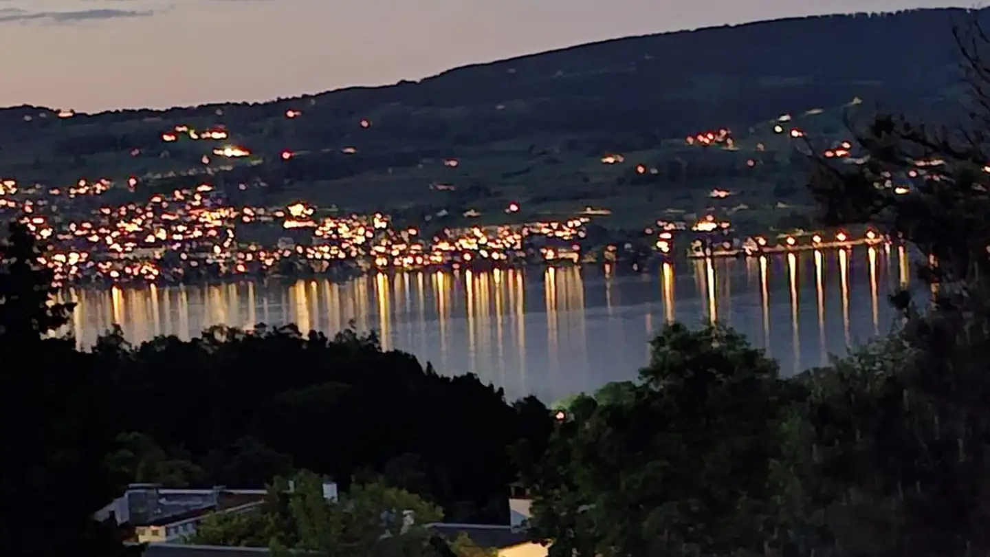 Apartment for rent - 8810 Horgen - Photo 2