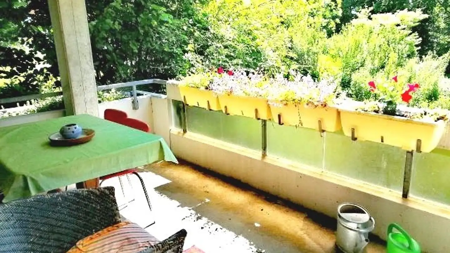 Single room for rent - 8706 Meilen - Photo 4