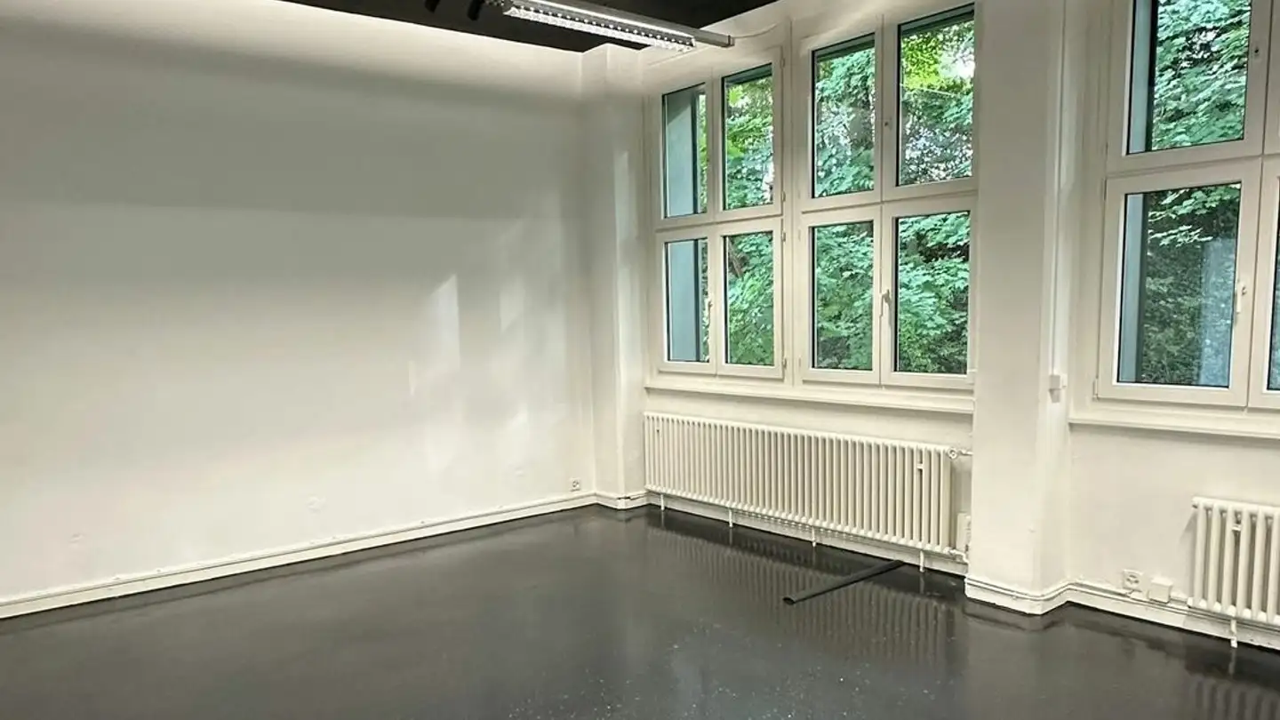 Bürofläche mieten - Grubenstrasse 45, 8045 Zürich - Foto 3