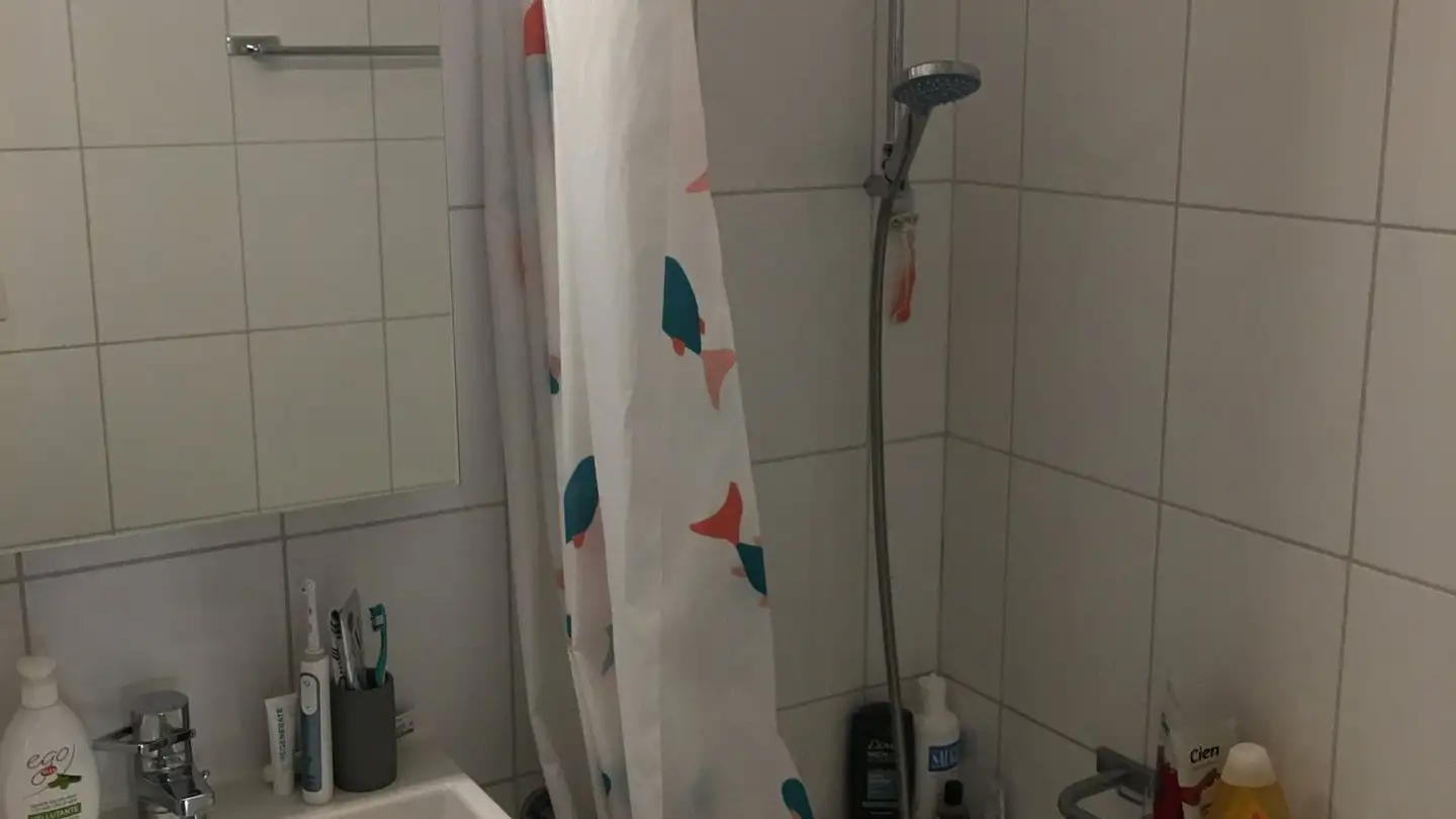 Appartement à louer - Hallwylstrasse 47, 8004 Zürich - Photo 3