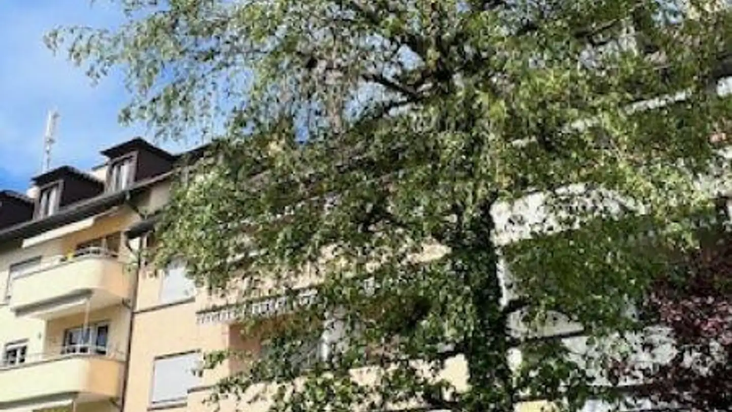 Wohnung mieten - Seftigenstrasse 195, 3084 Wabern - Foto 3