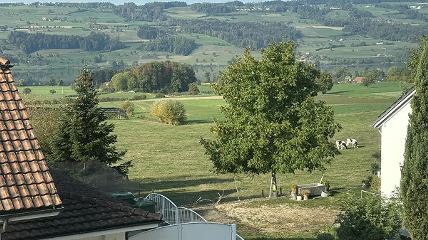 Appartamento in affitto - Bühlmatt 6, 6277 Kleinwangen - Foto 4