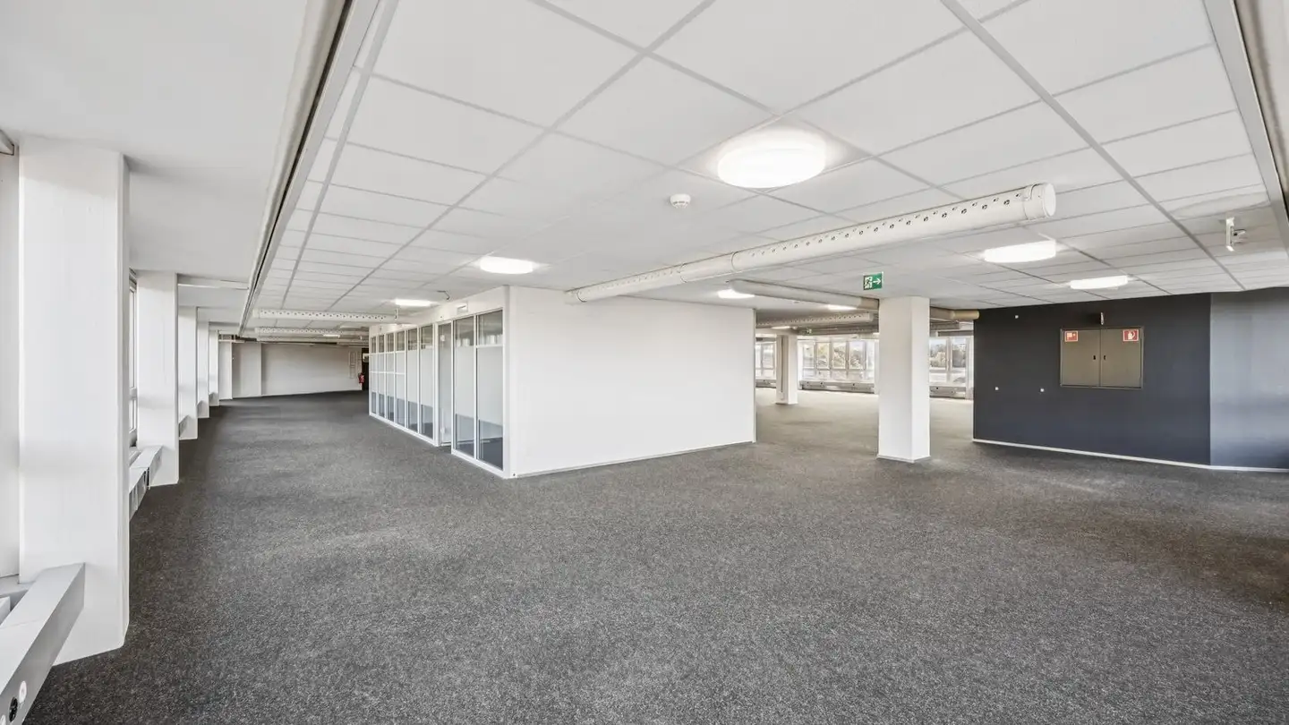 Bürofläche mieten - Dammweg 9, 3013 Bern - Foto 4