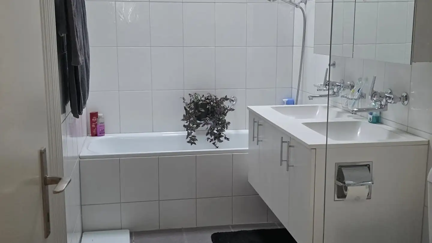 Appartement à louer - Alte Dachlisserstrasse 12, 8932 Mettmenstetten - Photo 3