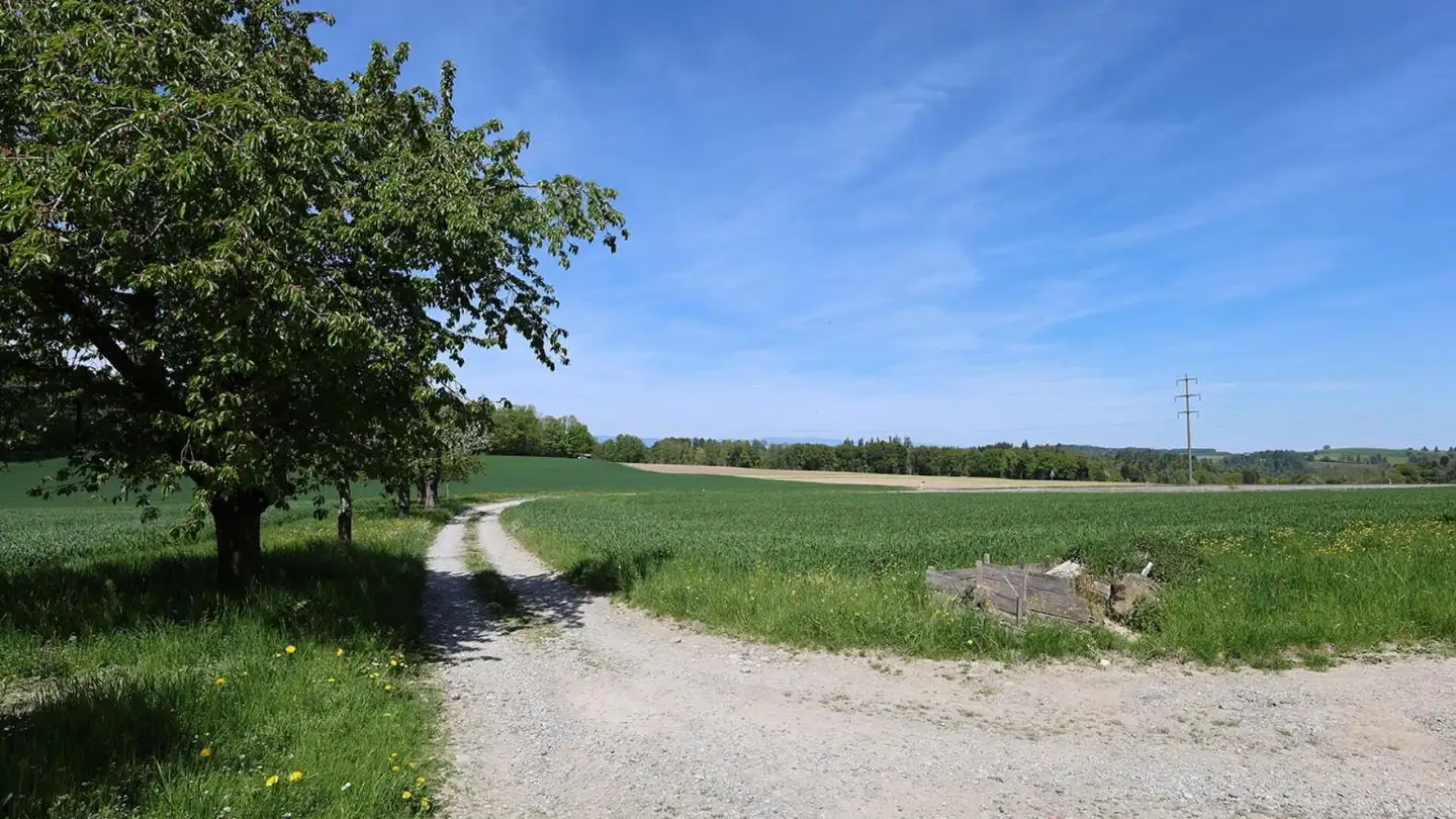 Casa singola in vendita - 1746 Prez-vers-Noréaz - Foto 4