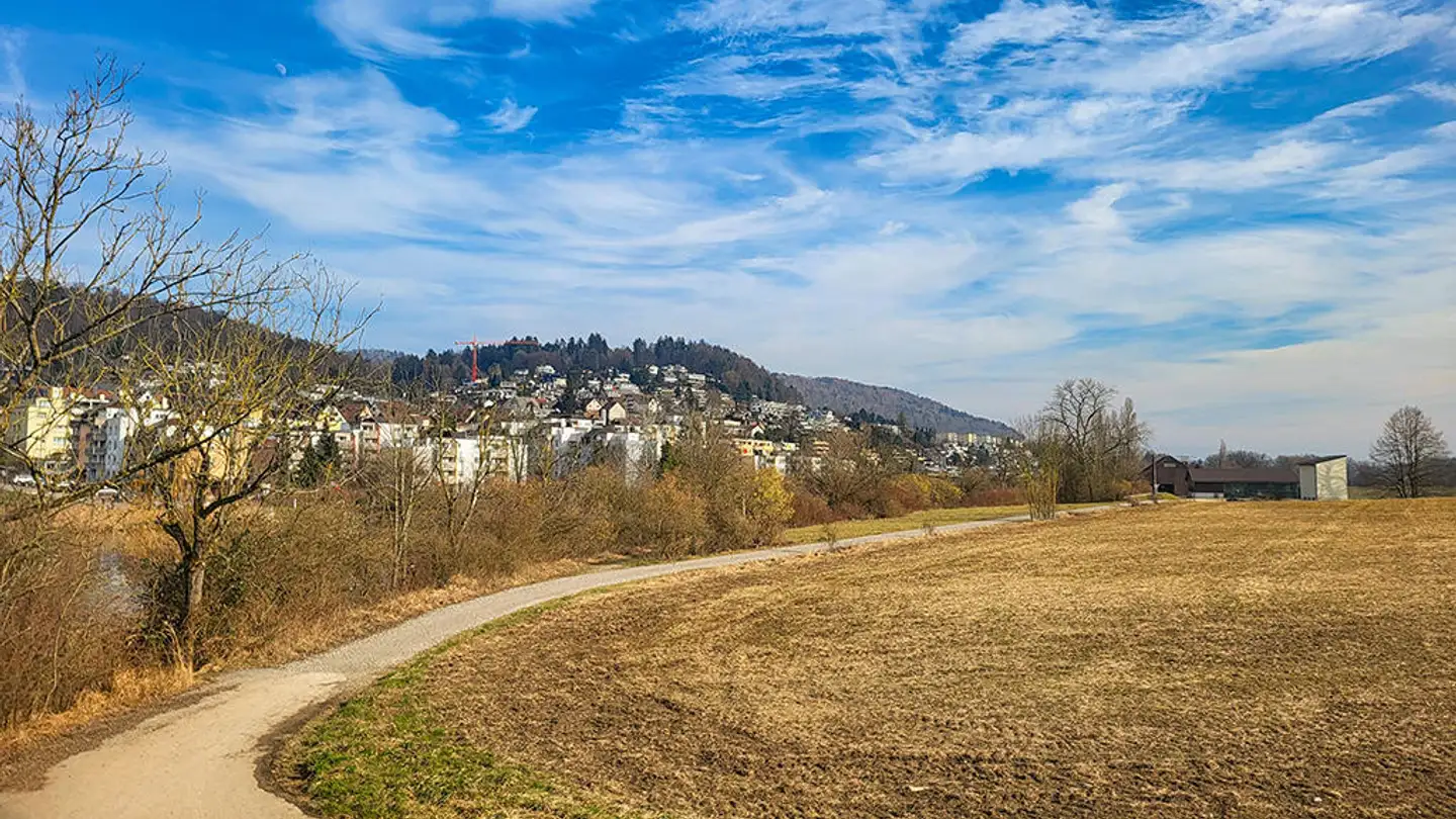 Duplex for sale - 8954 Geroldswil