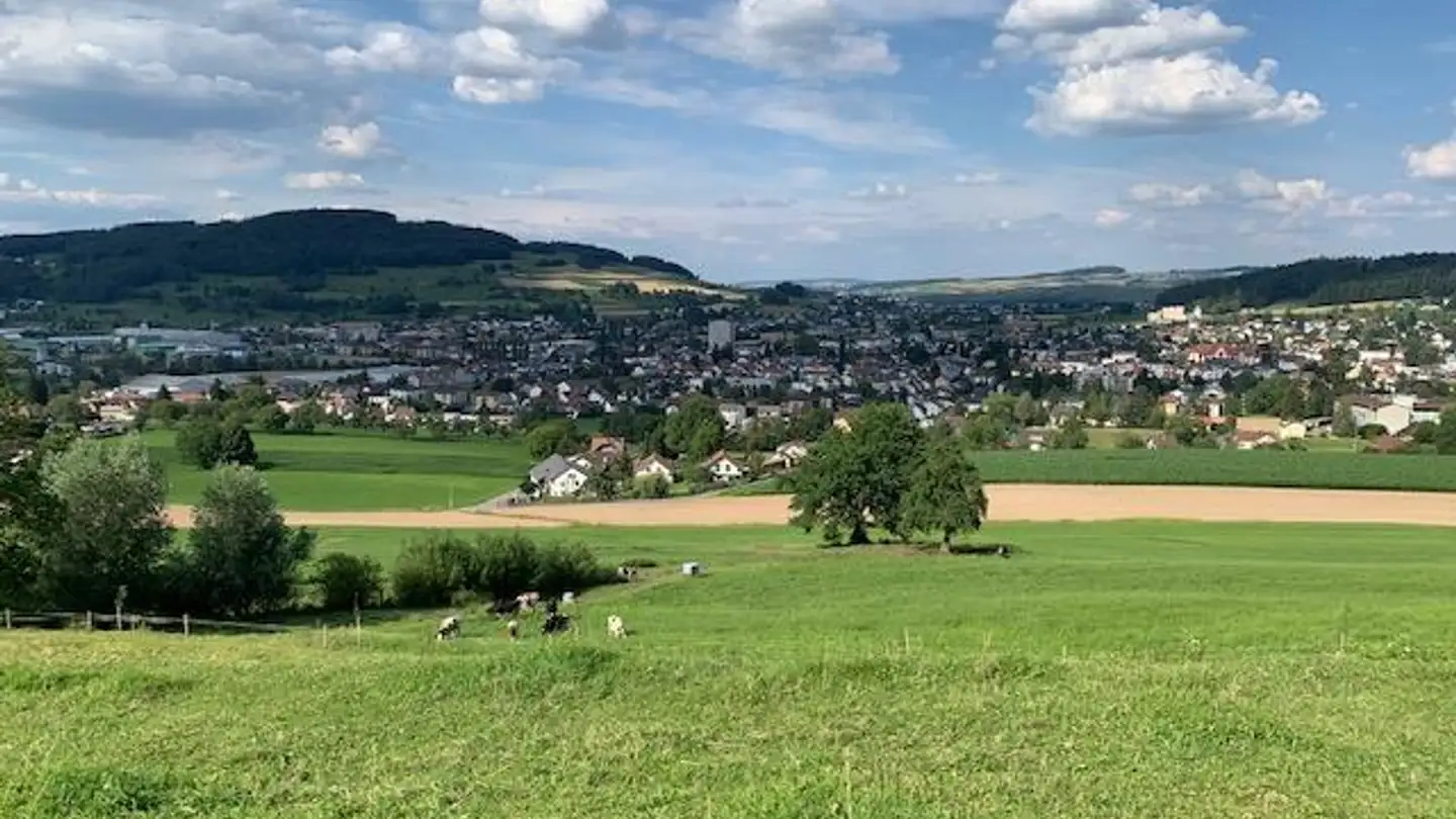 Bauland kaufen - Wiegenackerstrasse 13, 5735 Pfeffikon LU