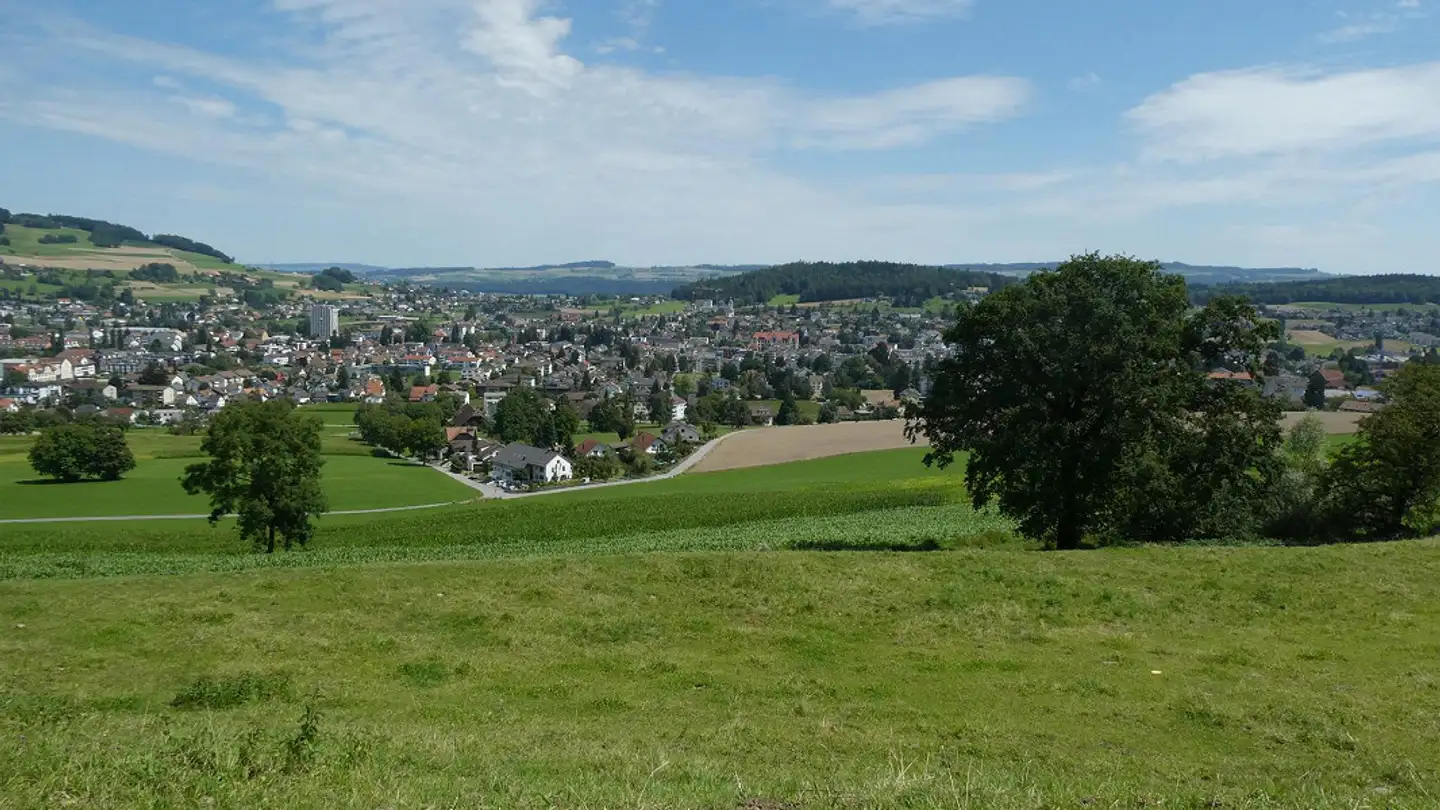 Bauland kaufen - Wiegenackerstrasse 13, 5735 Pfeffikon LU - Foto 2