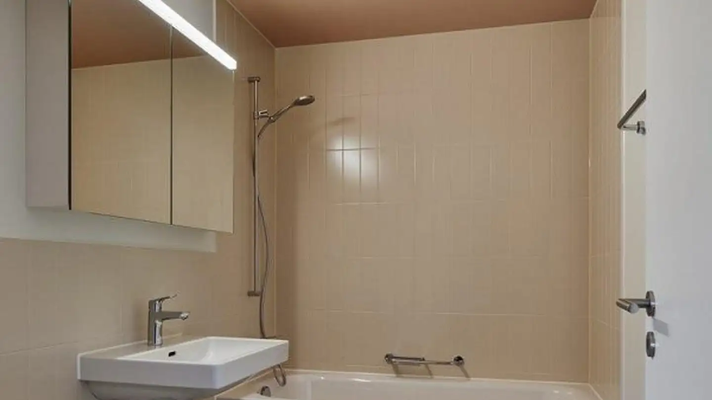 Appartamento in affitto - Fleischbachstrasse 30, 4153 Reinach BL - Foto 3