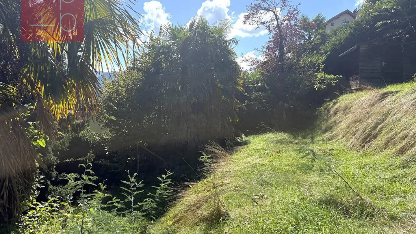 Terrain constructible à vendre - 6984 Pura - Photo 4