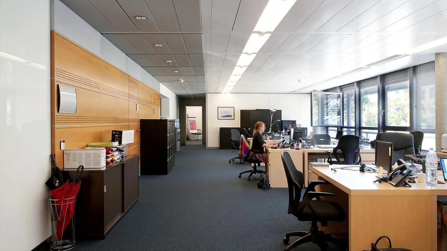 Gewerbe mieten - Avenue Giuseppe- Motta 35, 1202 Genève - Foto 2