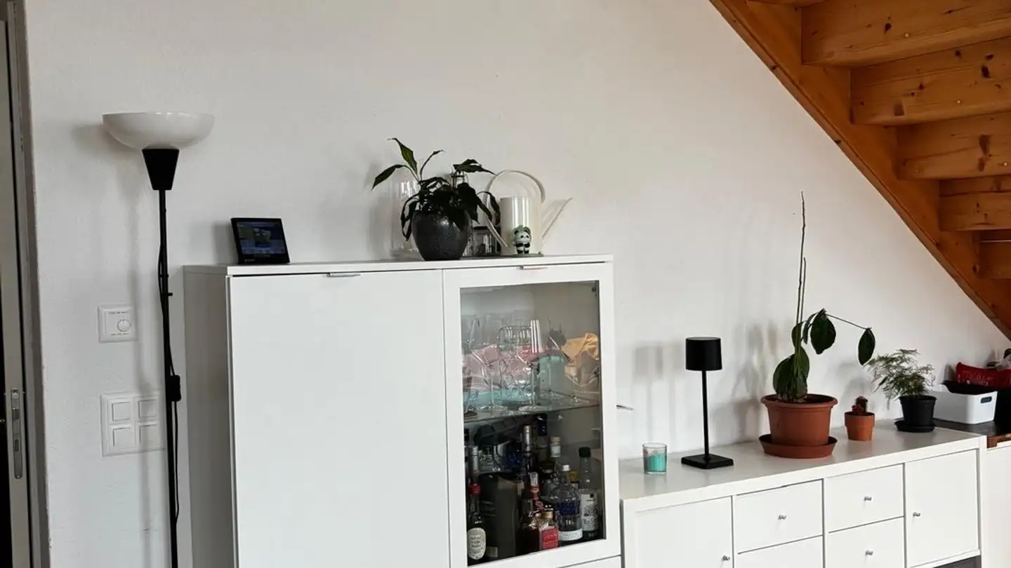 Chambre à louer - 8004 Zürich - Photo 4