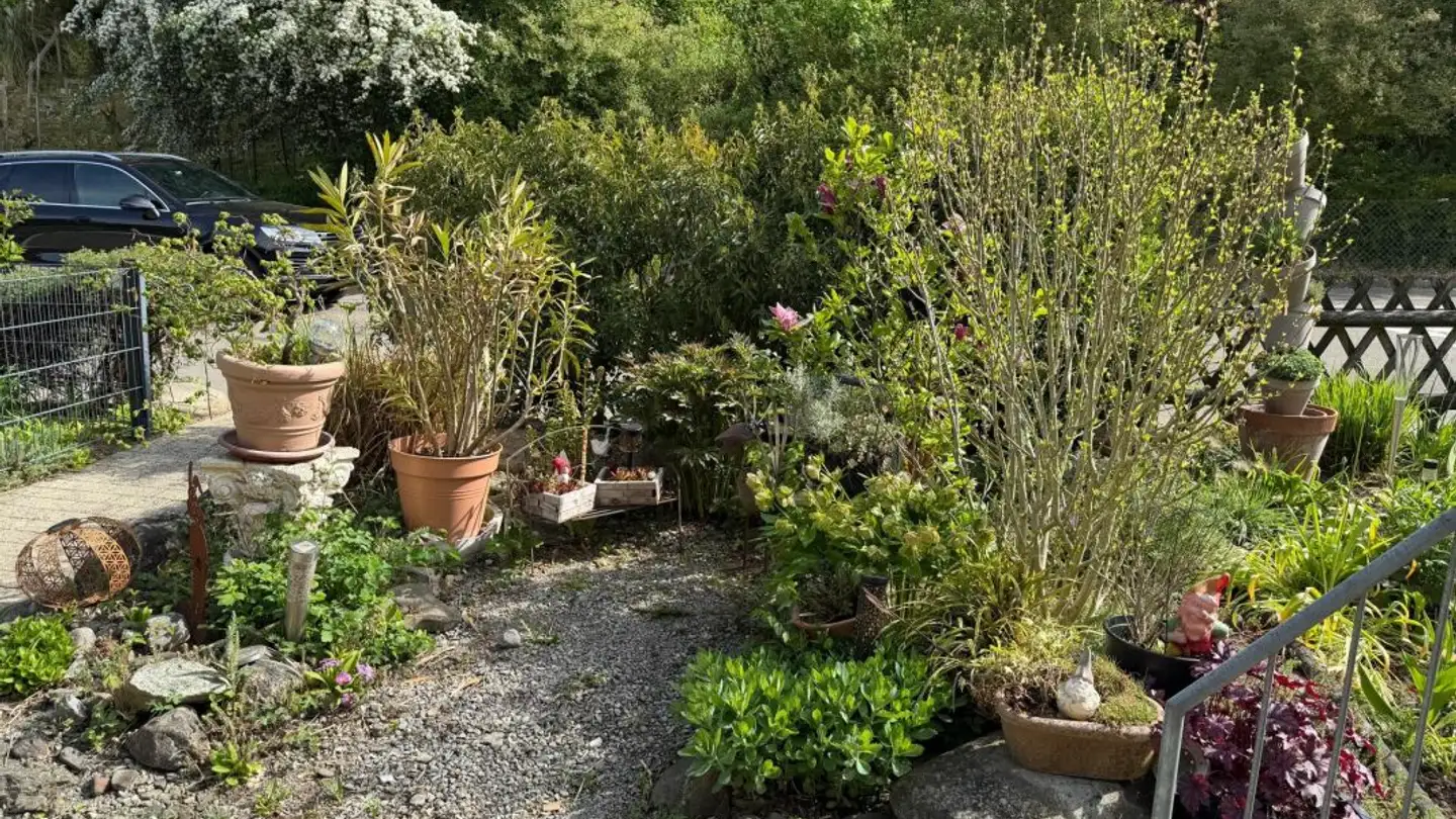 Casa a schiera in vendita - Aubodenstrasse 31e, 8472 Seuzach - Foto 2