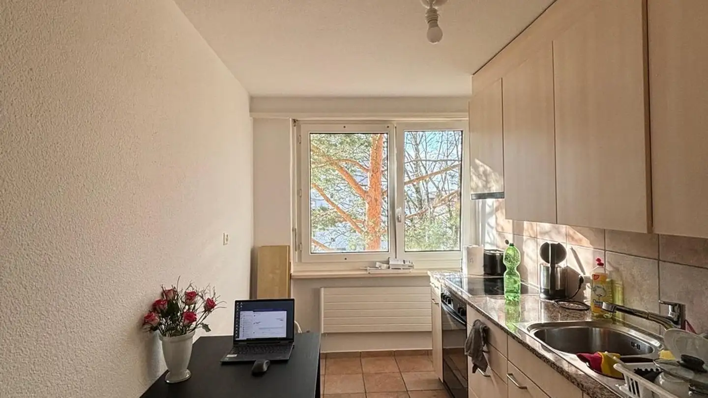 Chambre à louer - Hirzenbachstrasse 82, 8051 Zürich - Photo 3