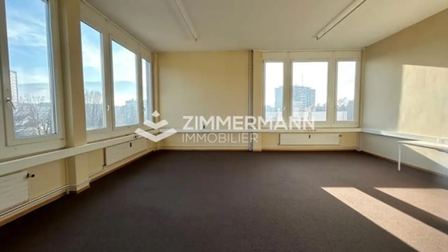 Spazio ufficio in affitto - Chemin Du Foron, 1226 Thônex - Foto 3