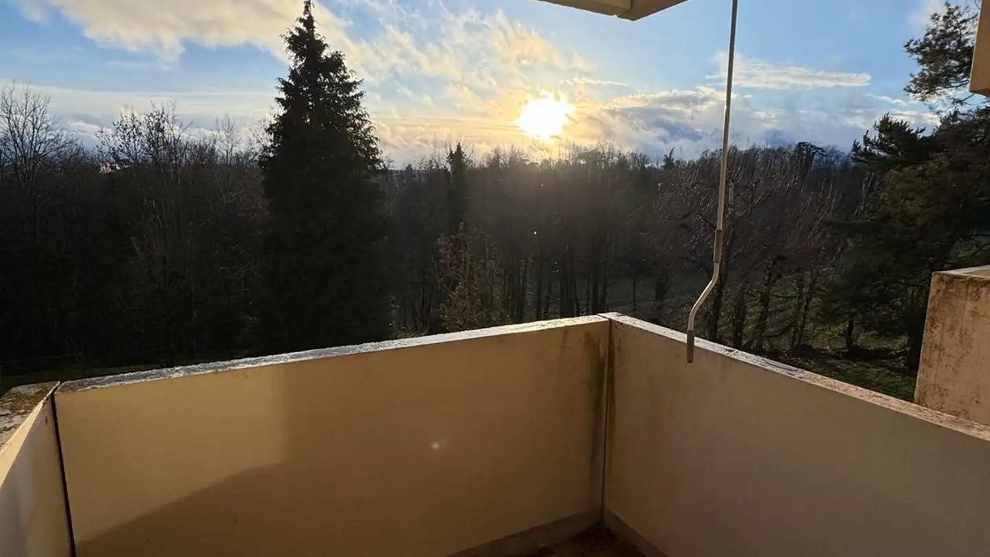 Appartement à louer - Avenue Du Delay 9, 1110 Morges - Photo 2