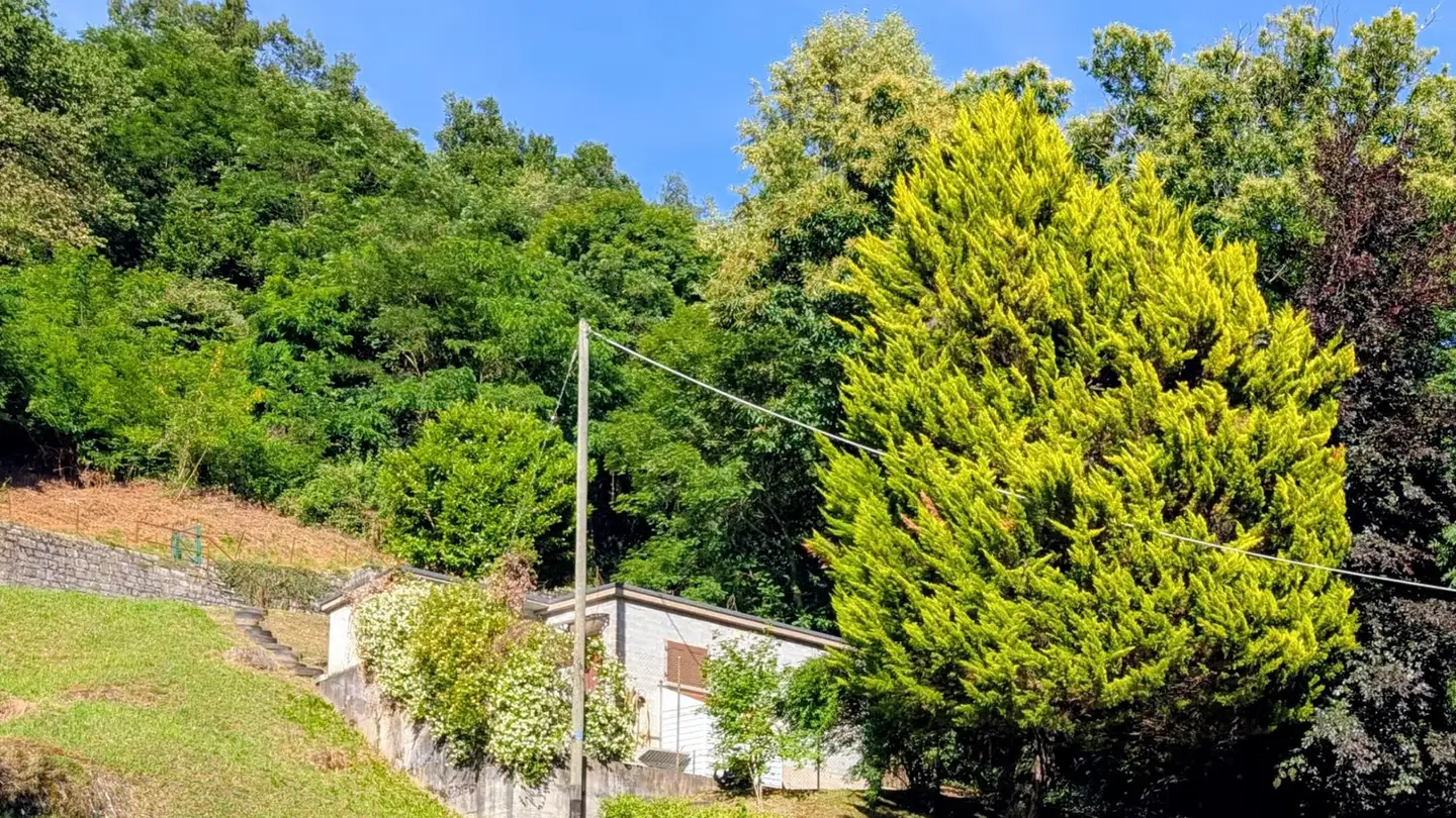 Einfamilienhaus mieten - Strada Della Castellanza 118, 6968 Sonvico