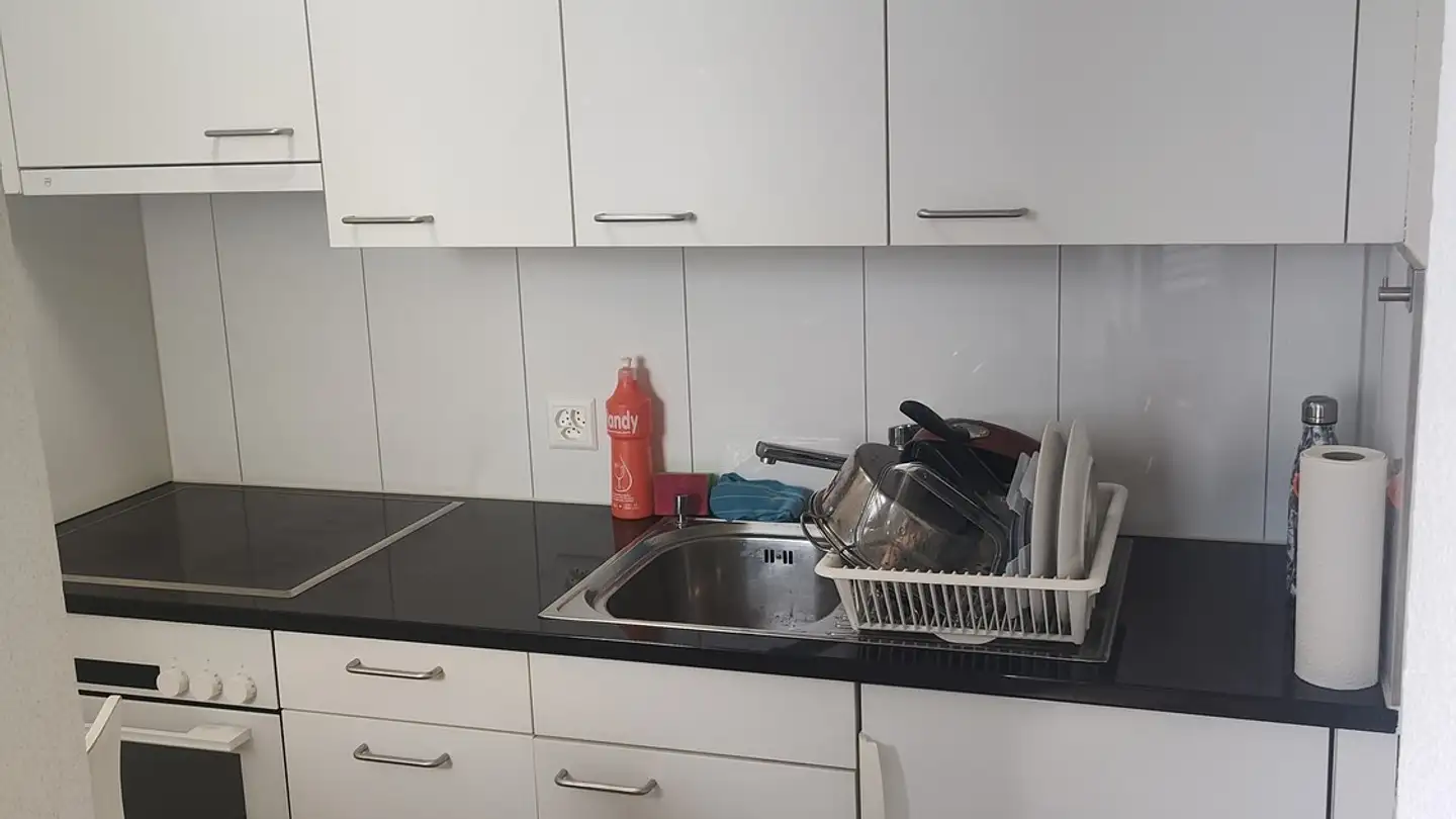Wohnung mieten - Luchswiesenstrasse 220, 8051 Zürich - Foto 2