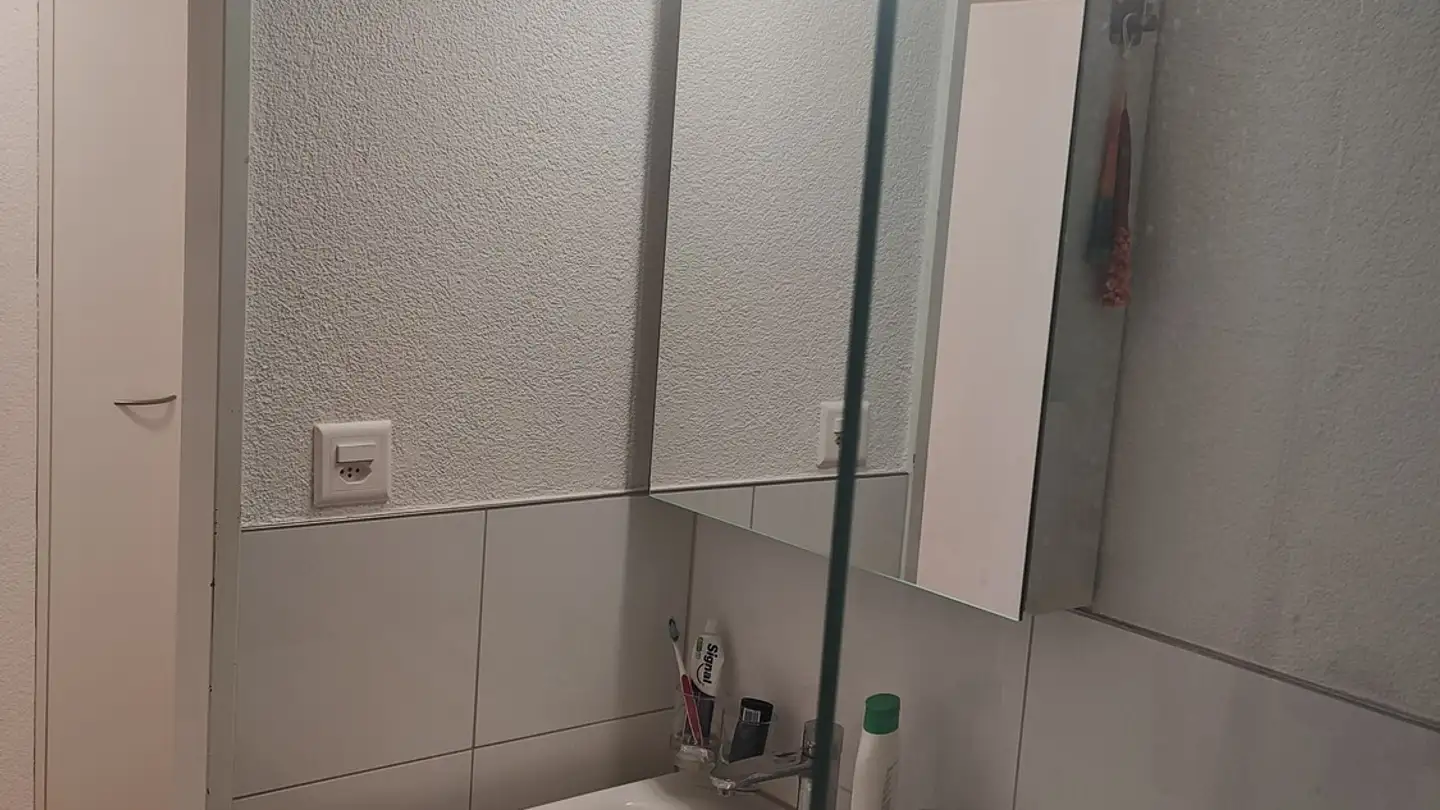 Wohnung mieten - Luchswiesenstrasse 220, 8051 Zürich - Foto 4