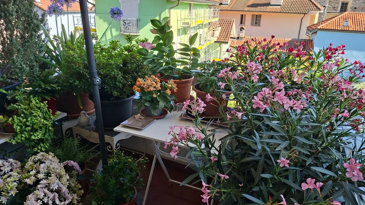 Appartamento in affitto - Via Pedramonte 11, 6600 Locarno - Foto 4