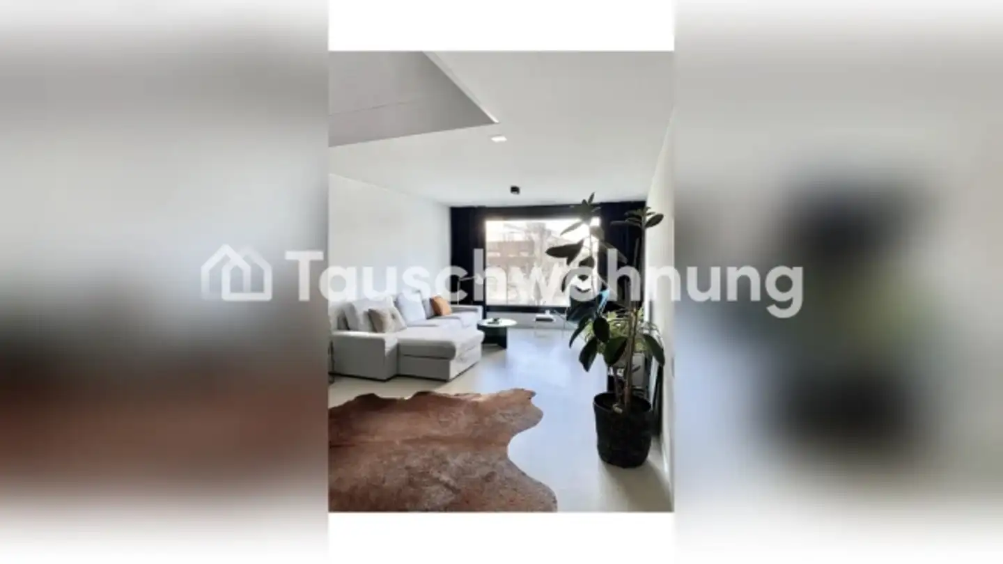 Wohnung mieten - 8952 Schlieren