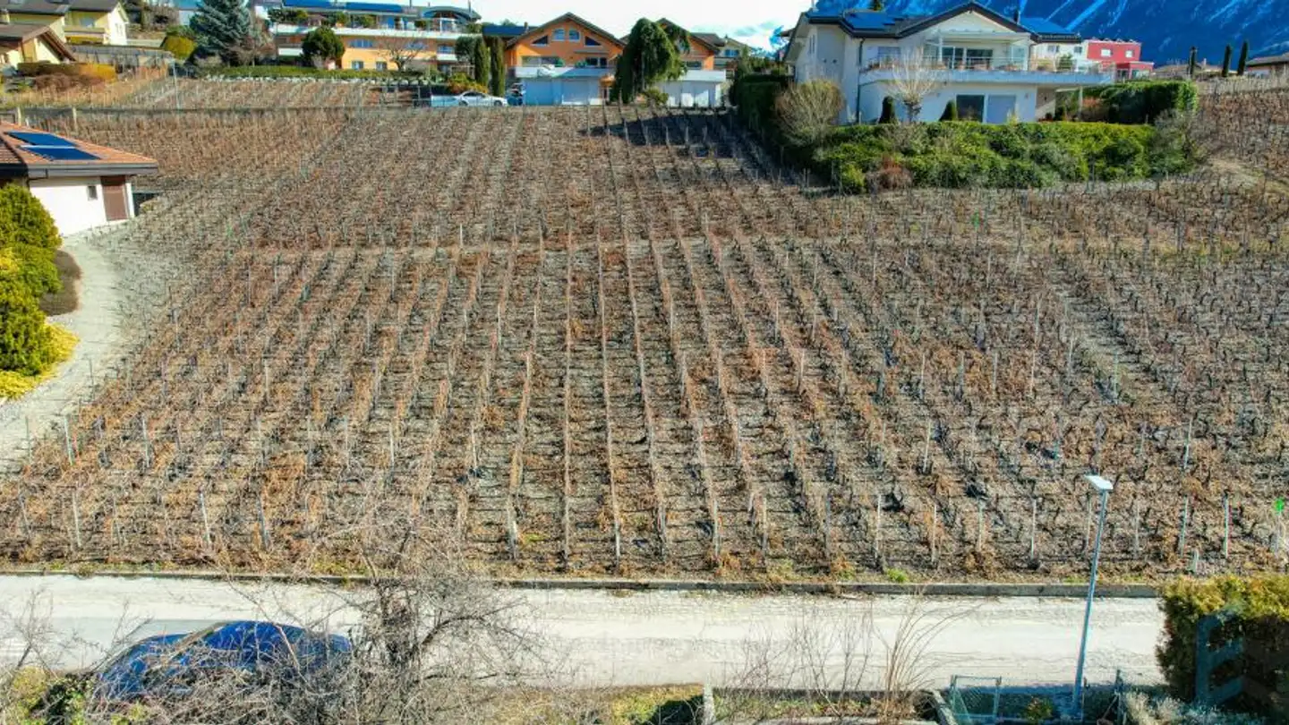 Terreno edificabile in vendita - Route De Ravouire, 3972 Miège - Foto 2