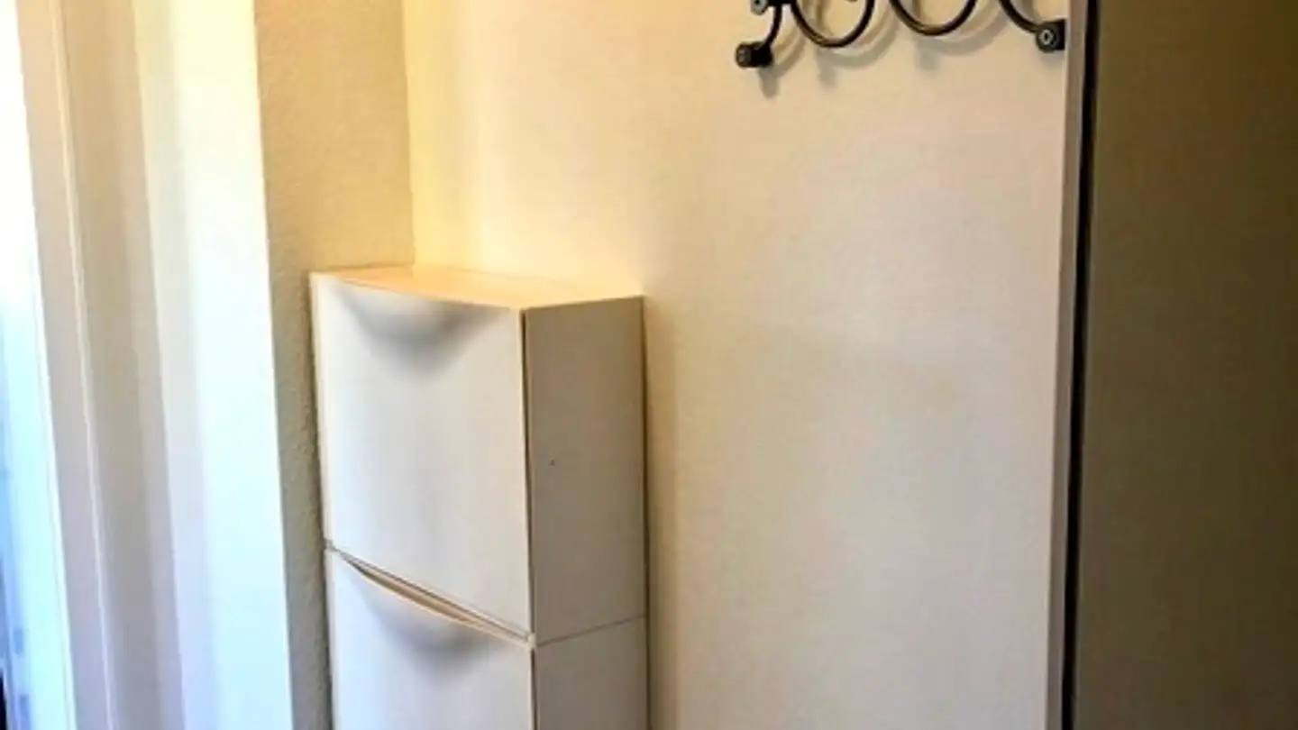 Appartamento ammobiliato in affitto - 4410 Liestal - Foto 4