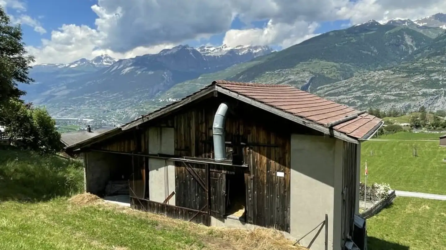 Einfamilienhaus kaufen - 3948 Unterems - Foto 3