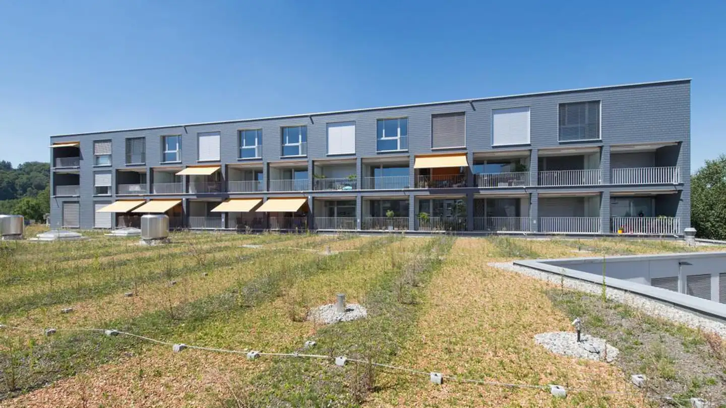 Wohnung mieten - Birmensdorferstrasse 81, 8902 Urdorf