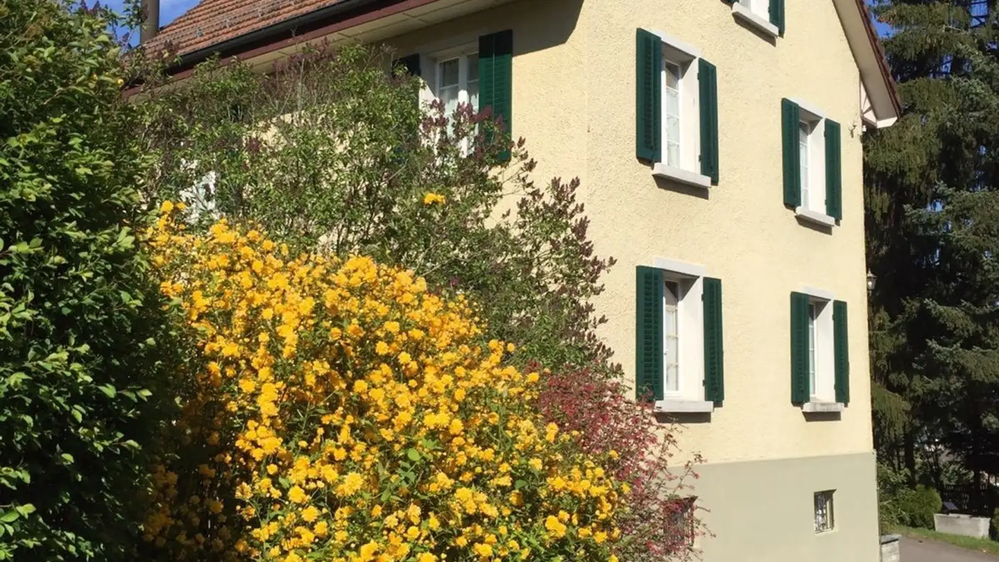 Chambre à louer - Hönggerstrasse 291, 8105 Regensdorf - Photo 2