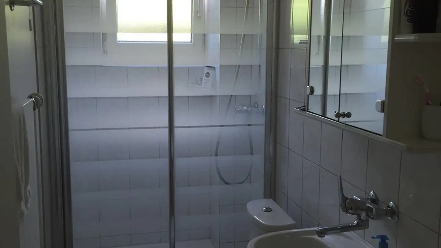 Chambre à louer - Hönggerstrasse 291, 8105 Regensdorf - Photo 4