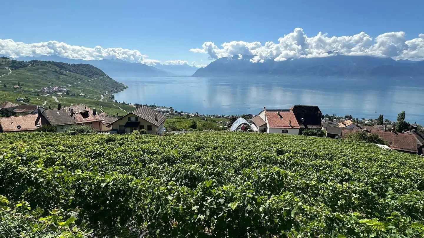 Villa à louer - Chemin De La Segnire 2, 1091 Chenaux - Photo 3